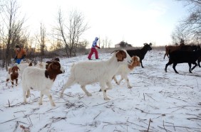 Lynae-Sowinski-24hour-04