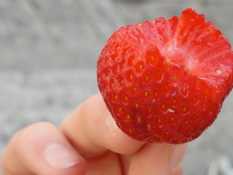 I like to call this berry therapy